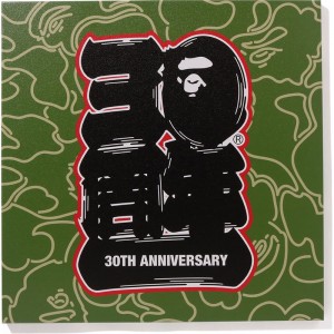 Men Bape 30th Anniv. Canvas Large Home Green USA | ME5698268